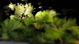 Ночные покатухи.