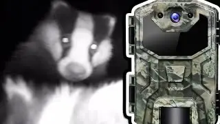 Victure No Glow 1080p Trailcam