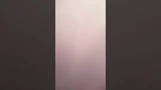 9 сентября 2024 г.