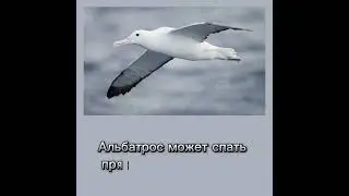 #интересные факты