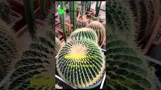 Загляни в тг-канал @biotonya и ты найдешь план подготовки к ОГЭ по биологии 🔥 