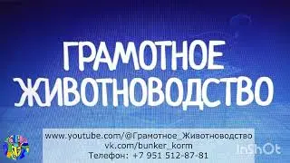 Грамотное животноводство Проект Для заказа Кнопка Ватсап⬇️⬇️⬇️