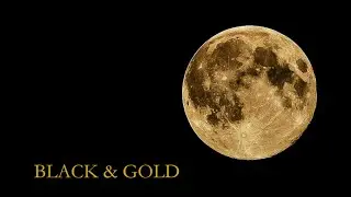 Black and Gold vol 2