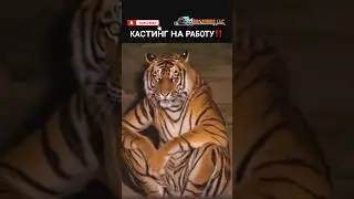 🤣 Кастинг #7 