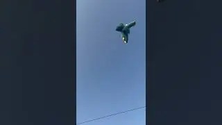 Ho no