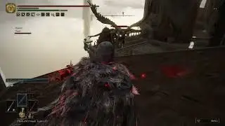 Elden Ring - Invader's ambush