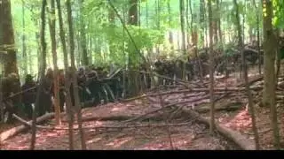 Battle of Little Round Top 3