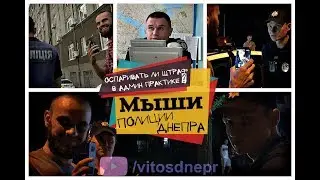 Мыши в полиции Днепра 18+