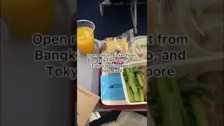 Flights I took in 12 days ✈️  | Travel Vlog