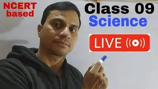class 9 science motion