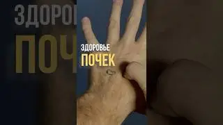 Подписывайся