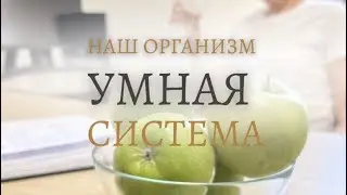 Наш организм – умная система