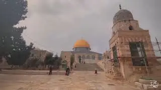 شاهد : المسجد الأقصى المبارك في ظل المنخفض الجوي . . .