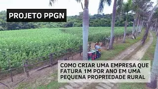 Projeto PPGN - Pequenas Propriedades Grandes Negócios