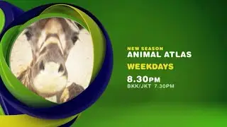 Animal Atlas 6