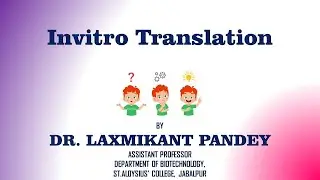 In vitro Transcription and Translation