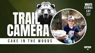 TRAIL CAM: Birthday Cake In The Woods!? - What's Gonna Eat It?