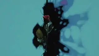James Blake - Dream (Move My Feet)