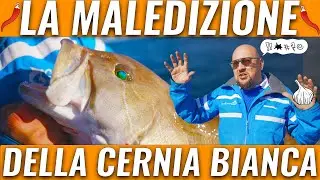 Revealing the Curse of the White Grouper: What a Fishing Video Could Hide...