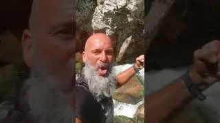 Zenica je show