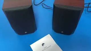 Акустическая система Swan D1100