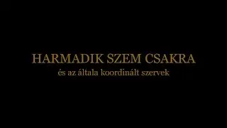 Beszélgetések Árendás László természetgyógyásszal - Harmadik szem csakra