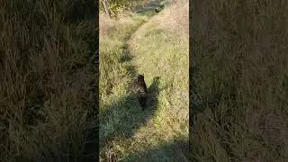Доброго утра с родника Графовка!