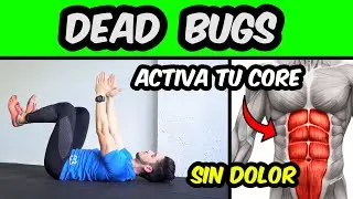 DEAD BUG 🐛 Activate your CORE without Back Pain ✅