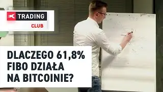 Skuteczny trading na kryptowalutach. Dlaczego 61,8% fibo działa na Bitcoinie? - Łukasz Fijołek