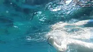 Côte d’Azur  Relax 2020. S10