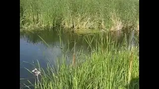 Реки Украины   1