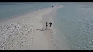 Amazing World | Mr. Max