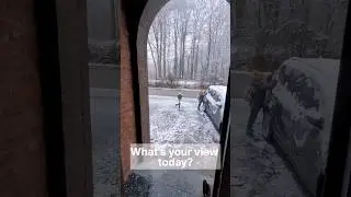 #імміграція #бельгія