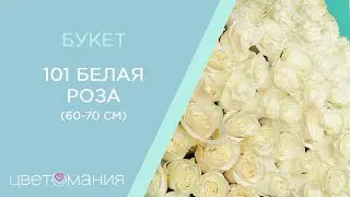 Обзор букета из 101 белой розы 60-70 см