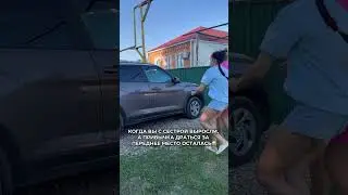 Отправляй той самой сестре😁 #tiktok #юмор
