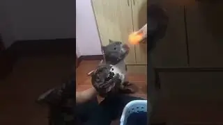 Ну поняяятно 👀