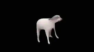 я хз я хз