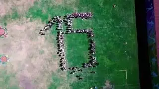 15-летие ЕРЦ: флэшмоб