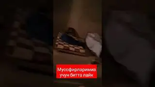 мусофир юртда юрган юртдошларимиз 