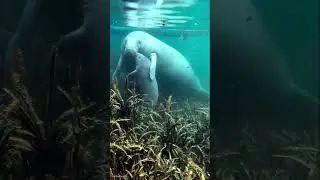 Вода очистилась, озеро Банное, Якты-Куль, Мауззы