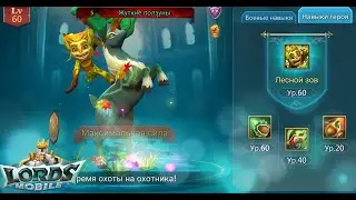 5 Стадия 