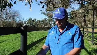 Stallion Rail Ultra and Extreme changing the face of electric rail equine fencing