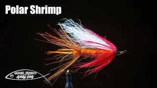 Polar Shrimp - Classic steelhead and salmon fly tying tutorial