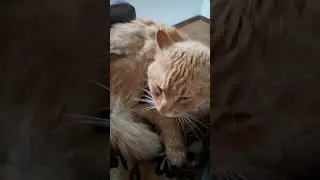 Марсик😺