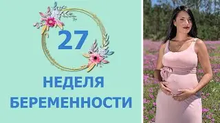 27 Weeks of Pregnancy. Fetal Development and Mom's Sensations