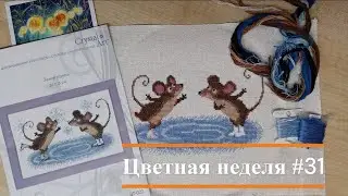 Цветная неделя 31 // 01.09.2023 - 07.09.2023 // Недельные продвижения. Два мини-старто-финиша.