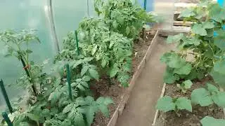 Что нового/ Готовлю/ Работы в огороде