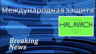 Международная защита в Польше. Часть 1