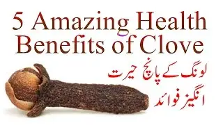 5  Amazing Health Benefits Of Cloves  I Long Aur Es K Tail K Fawaid