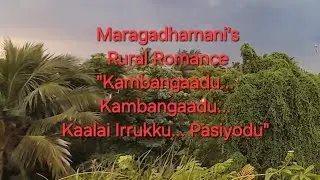 #maragadhamani#voice #chithra#keeravani#folk #romanticsong#love#song #humbleharmonica #vaanameellai